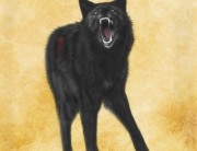 Black Wolf