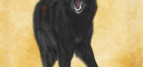 Black Wolf